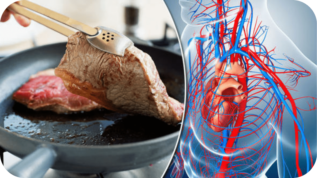 10 Incredible Benefits of Eating Red Meat You Didn’t Know About - Carnivore Society