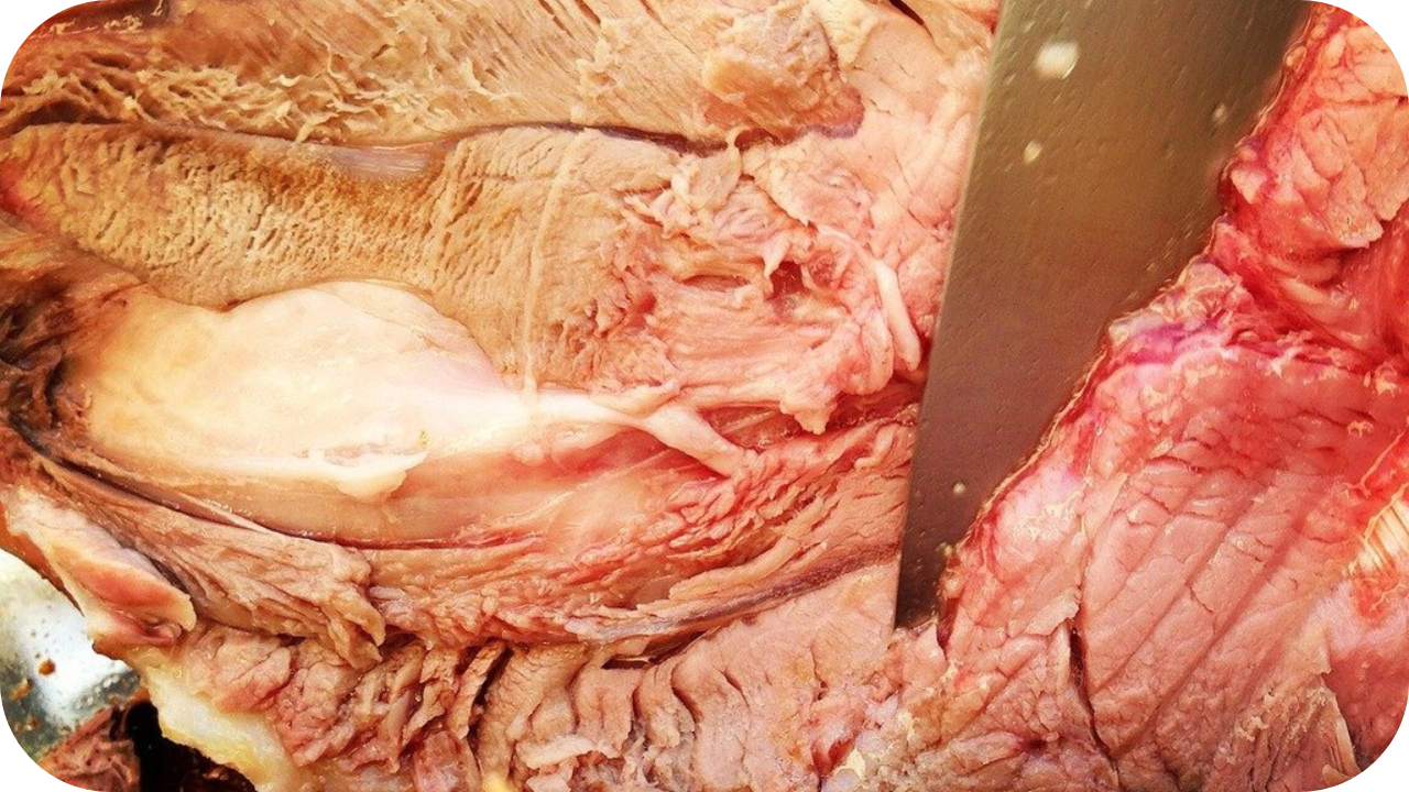 10 Health Benefits of the Carnivore Diet