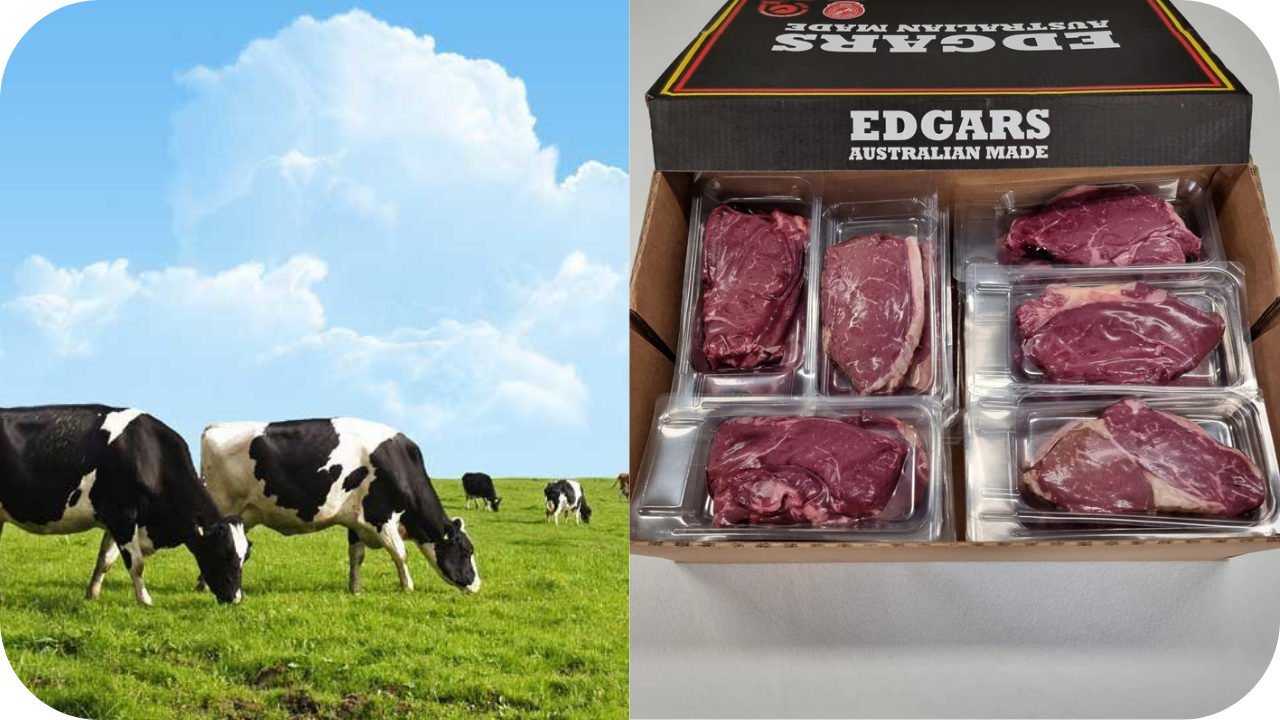 Why You Should Choose Pasture-Raised Meat for Better Health