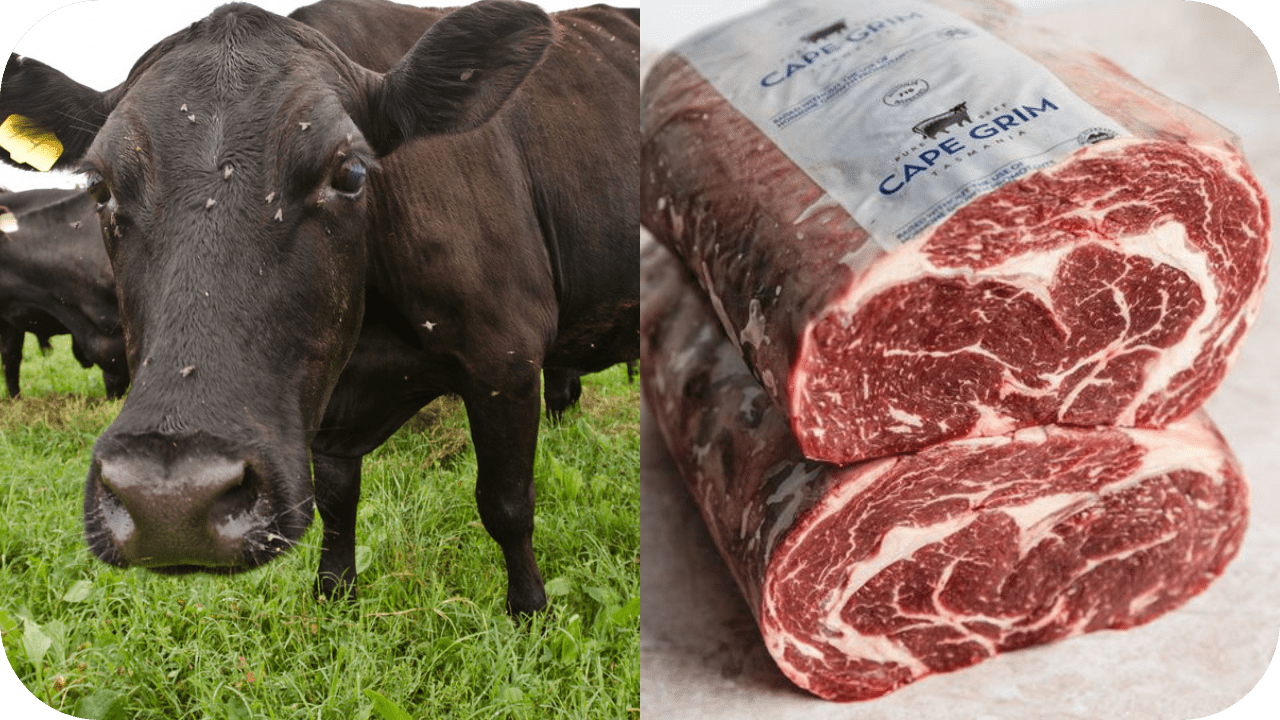 Does Grass-Fed Beef Really Taste Different? - Carnivore Society