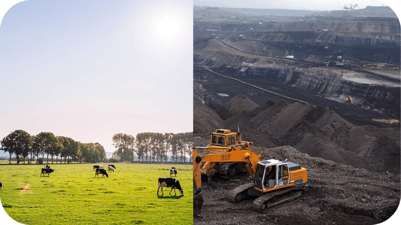 Emissions Crackdown on Cattle, But Mining Gets a Free Pass? - Carnivore Society