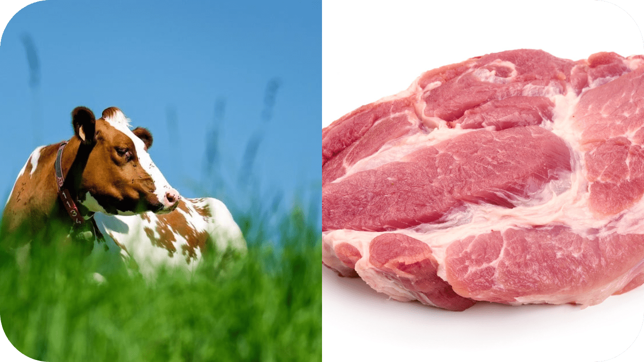 Is Grass-Fed Meat Really Worth It? - Carnivore Society