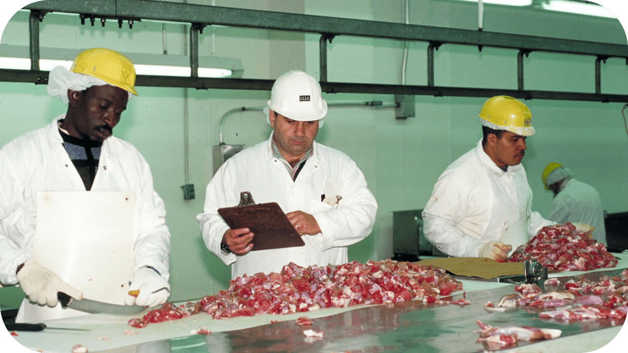 Why Transparency in Meat Production Matters for Aussie Consumers - Carnivore Society