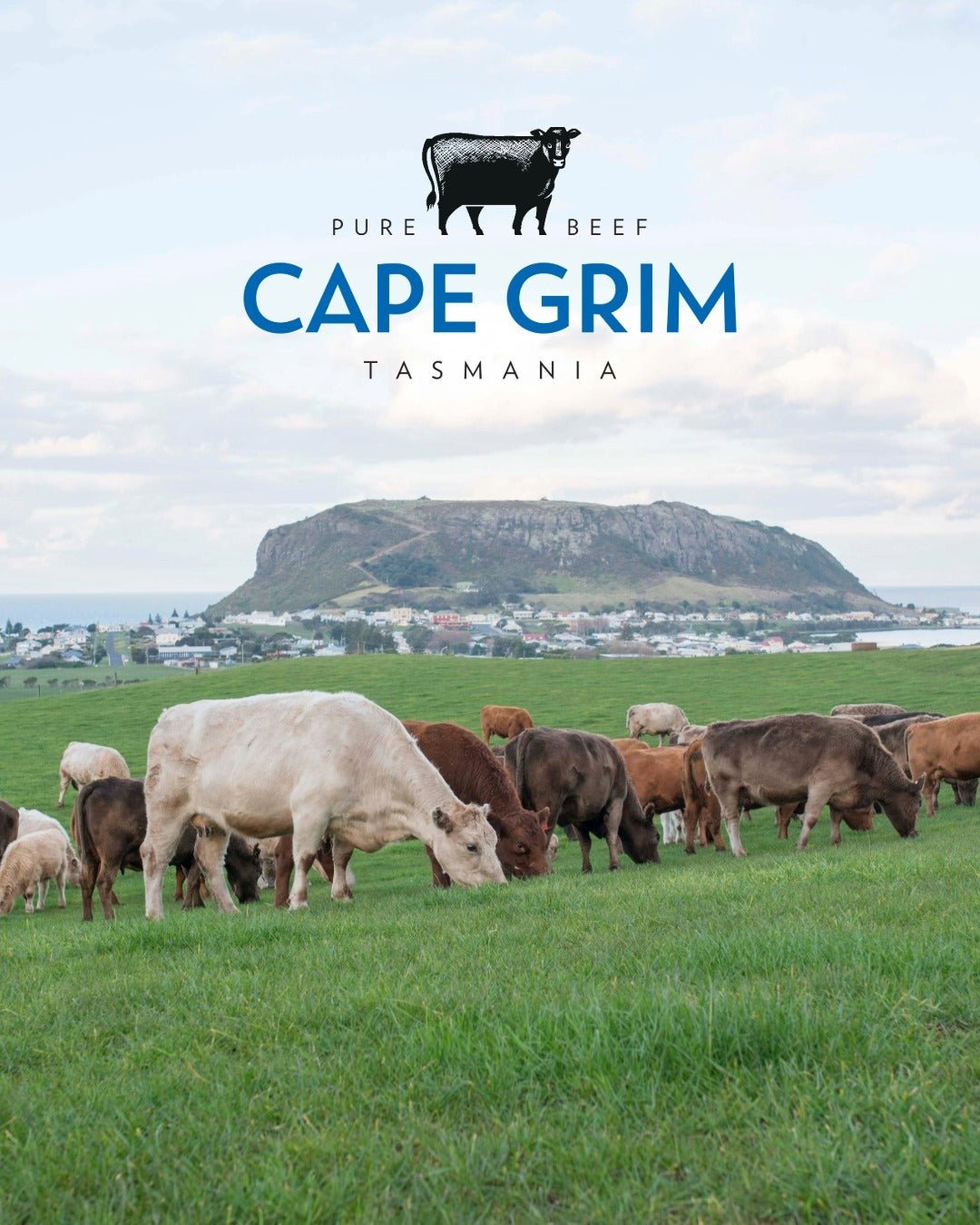Cape Grim Grass Fed Rib Fillet Steaks 800g main image 1
