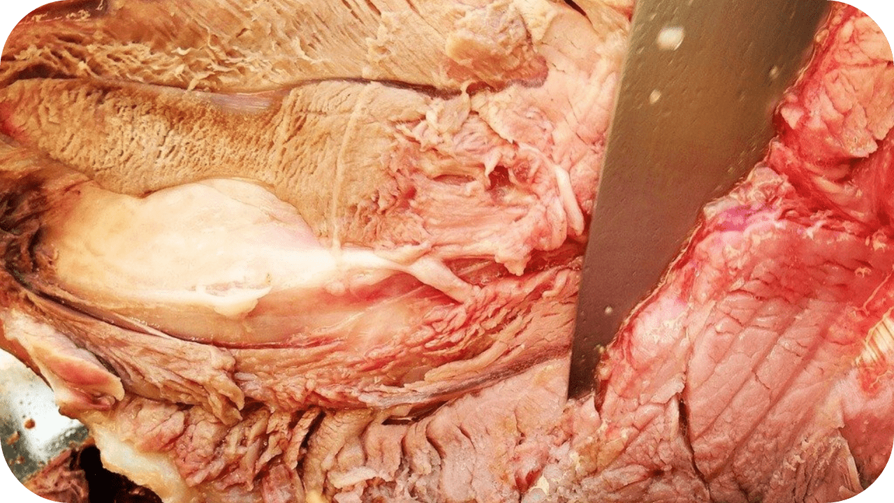 10 Health Benefits of the Carnivore Diet - Carnivore Society