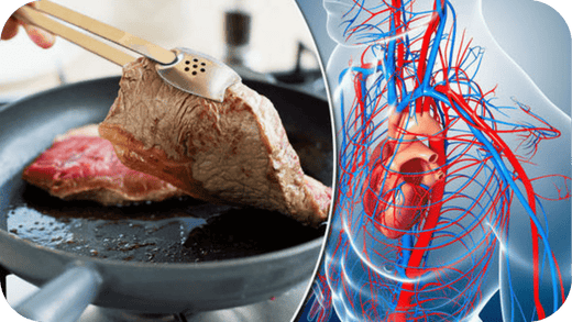 10 Incredible Benefits of Eating Red Meat You Didn’t Know About - Carnivore Society