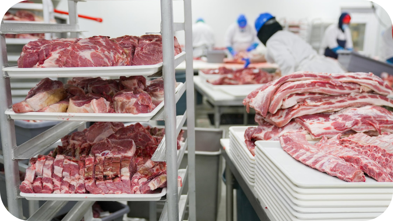A meat processing facility with workers preparing and packaging cuts of beef on trays.