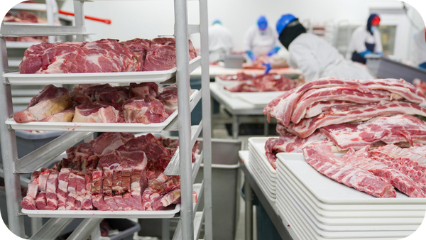 A meat processing facility with workers preparing and packaging cuts of beef on trays.