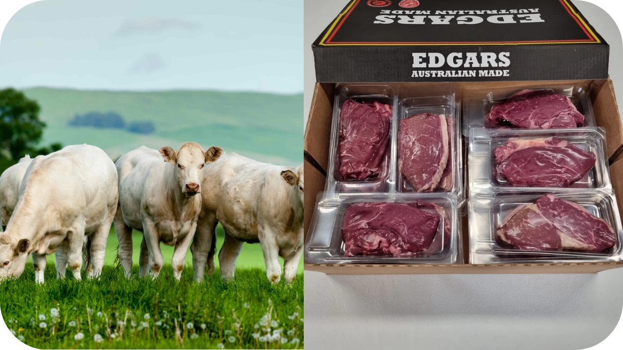 Sustainable Meat Sourcing: How to Make Ethical Choices