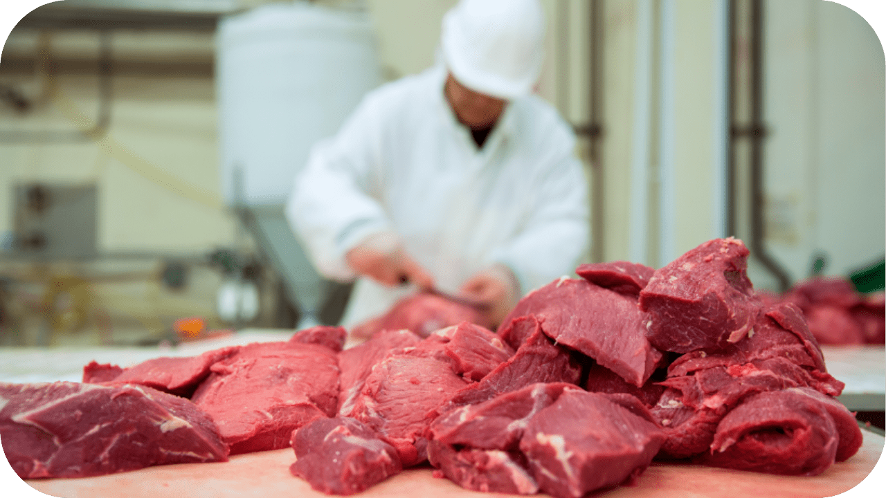 Best Carnivore Diet Meat Supplier in Australia - Carnivore Society