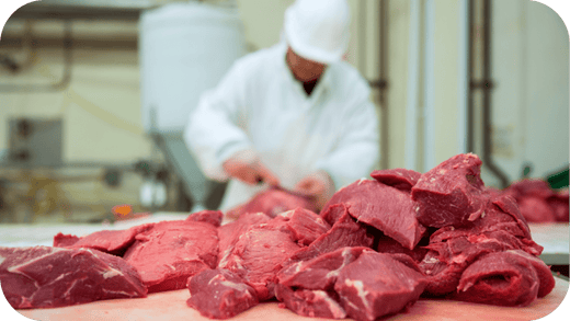 Best Carnivore Diet Meat Supplier in Australia - Carnivore Society