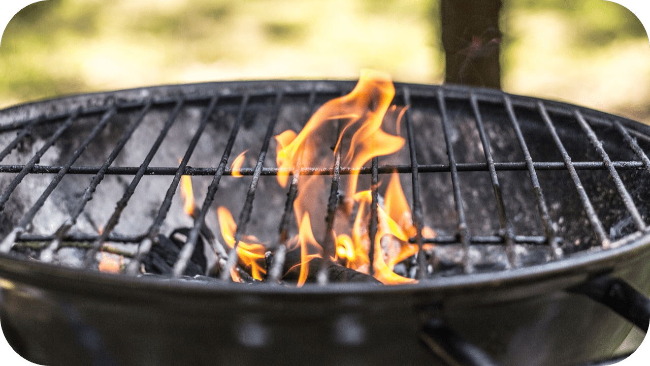 Best Cuts for Grilling: Top Steaks and Meats to Try - Carnivore Society