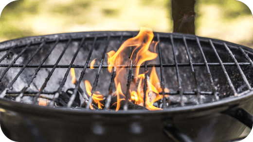 Best Cuts for Grilling: Top Steaks and Meats to Try - Carnivore Society