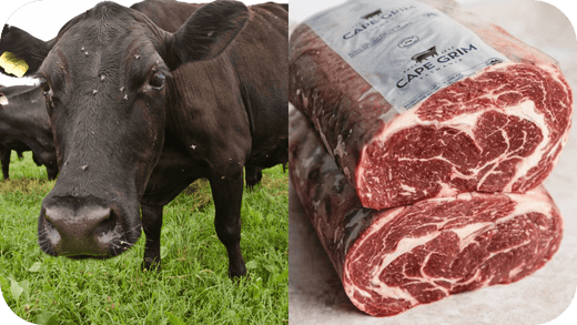 Does Grass-Fed Beef Really Taste Different? - Carnivore Society