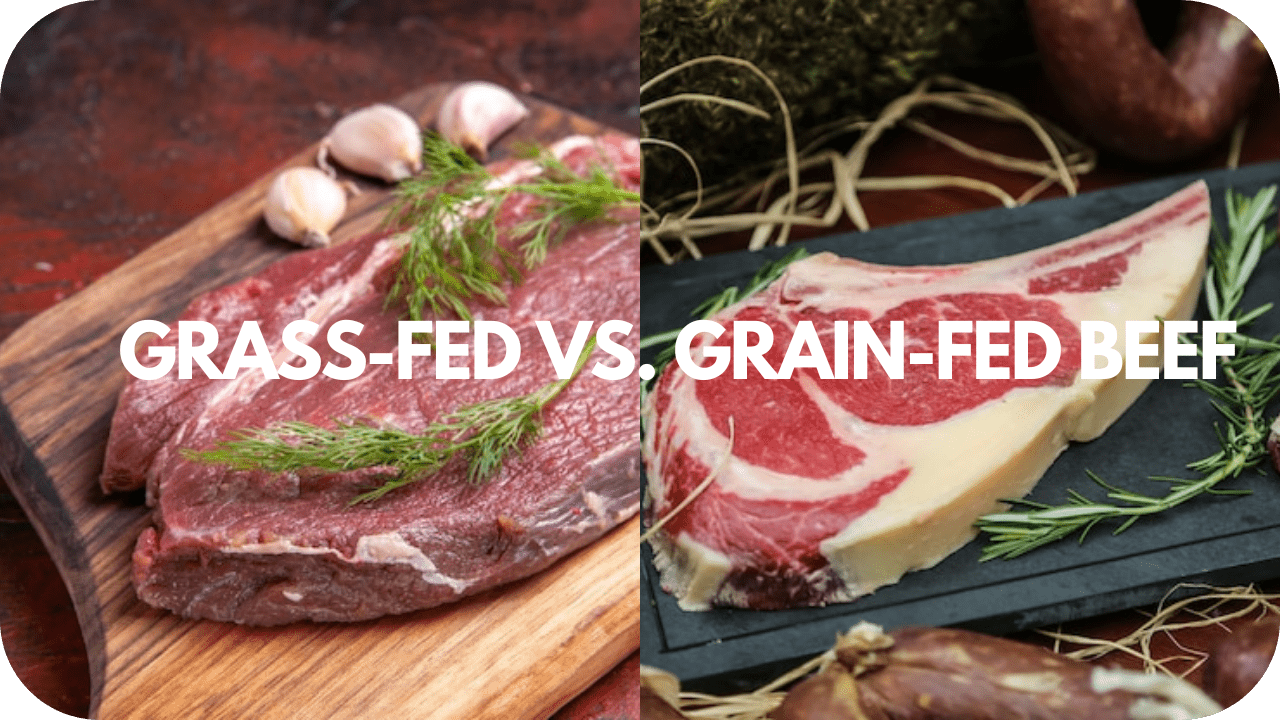 Grass-fed vs grain-fed beef comparison showing nutritional and quality differences