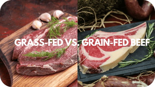 Grass-Fed vs. Grain-Fed Beef: Which One Supports Sustainable Farming? - Carnivore Society