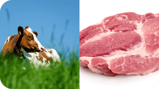 Is Grass-Fed Meat Really Worth It? - Carnivore Society