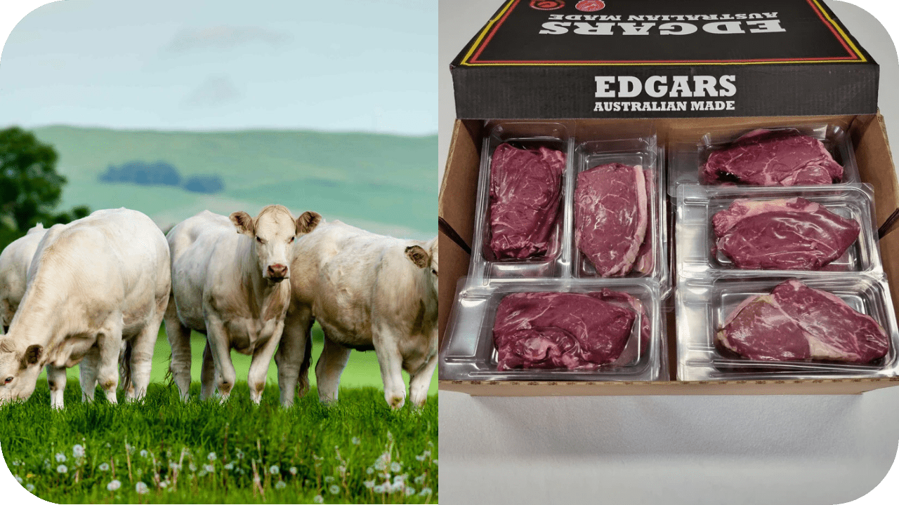 Sustainable Meat Sourcing: How to Make Ethical Choices - Carnivore Society