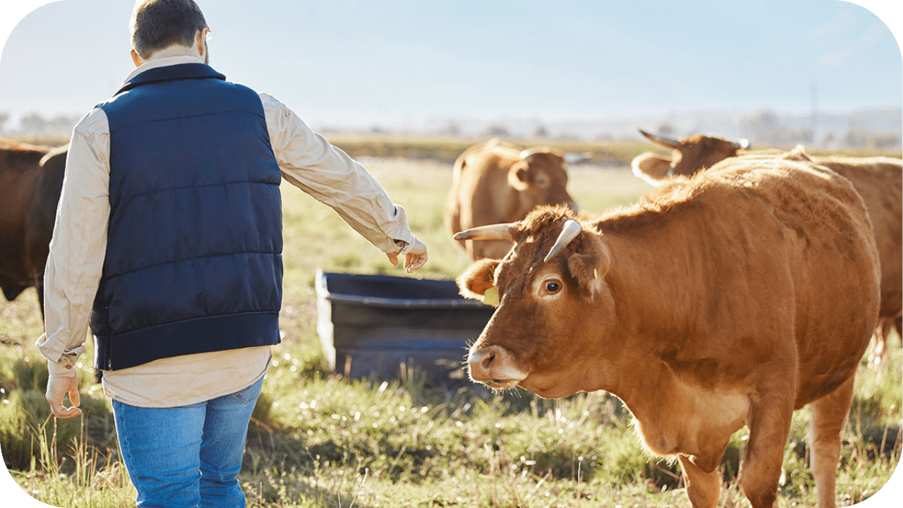 The Double Standard: Why Emissions Laws Hurt Farmers, Not Miners - Carnivore Society