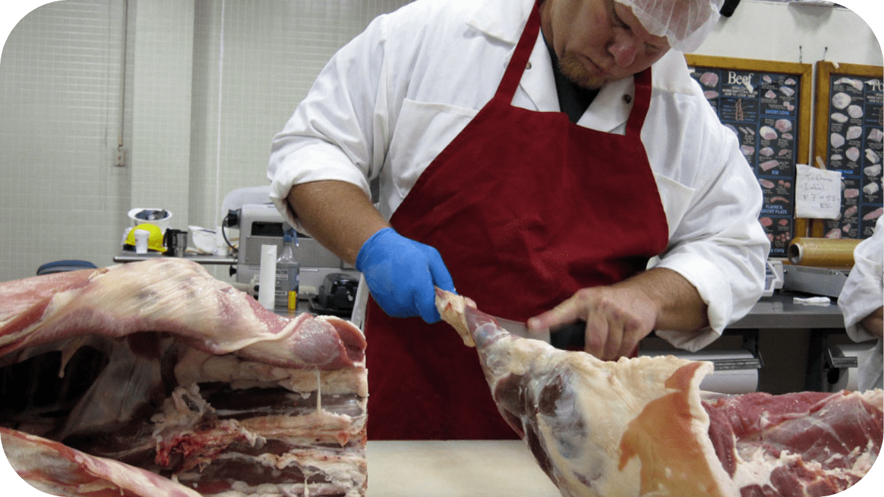 Why Ethical Meat Sourcing Matters in Australia - Carnivore Society