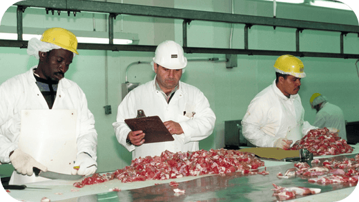 Why Transparency in Meat Production Matters for Aussie Consumers - Carnivore Society
