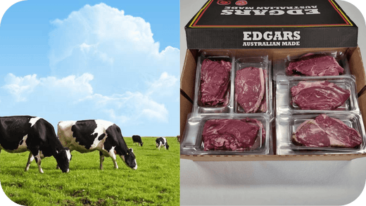 Why You Should Choose Pasture-Raised Meat for Better Health - Carnivore Society