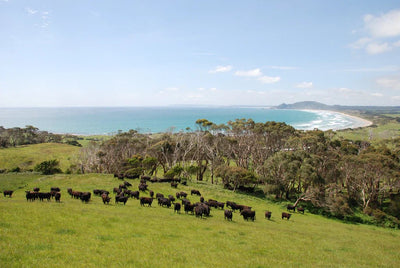 Bass Strait