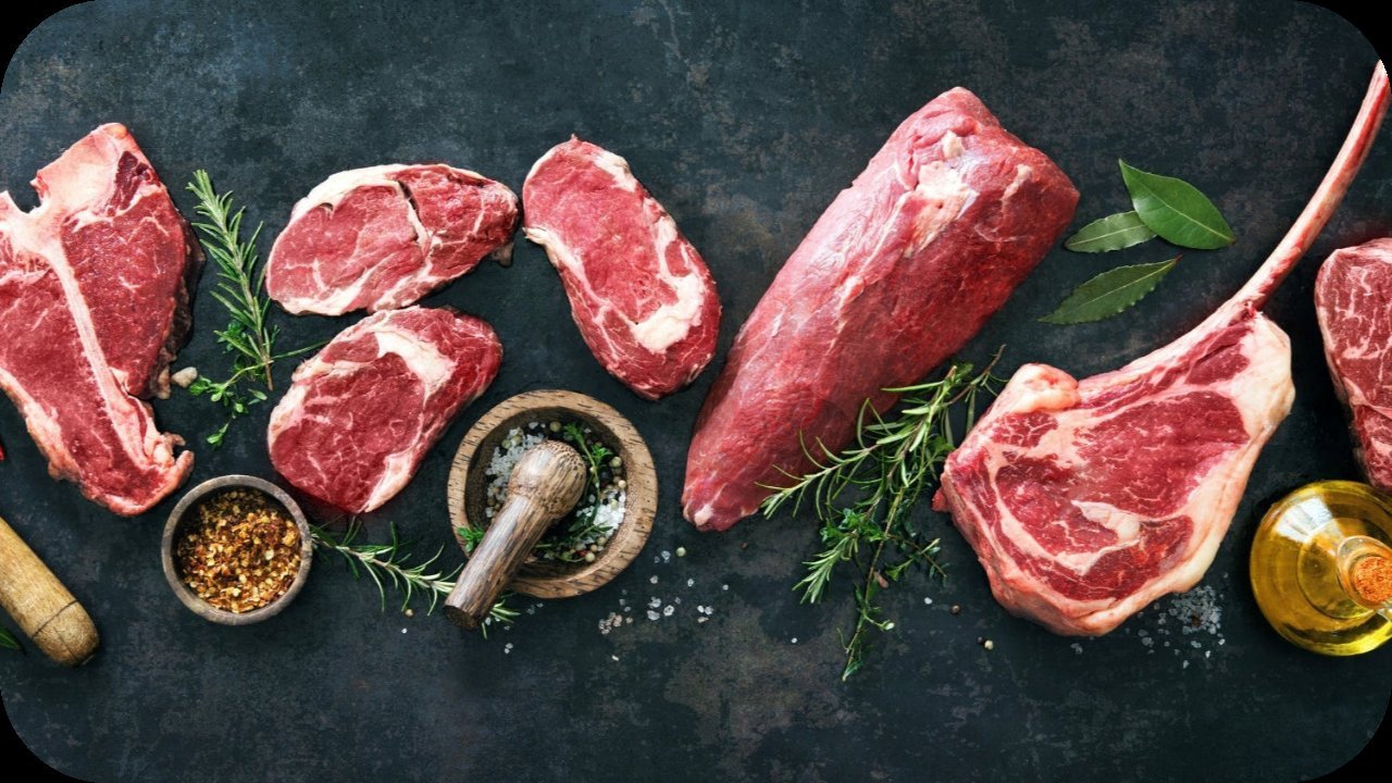 Specials - Carnivore Society