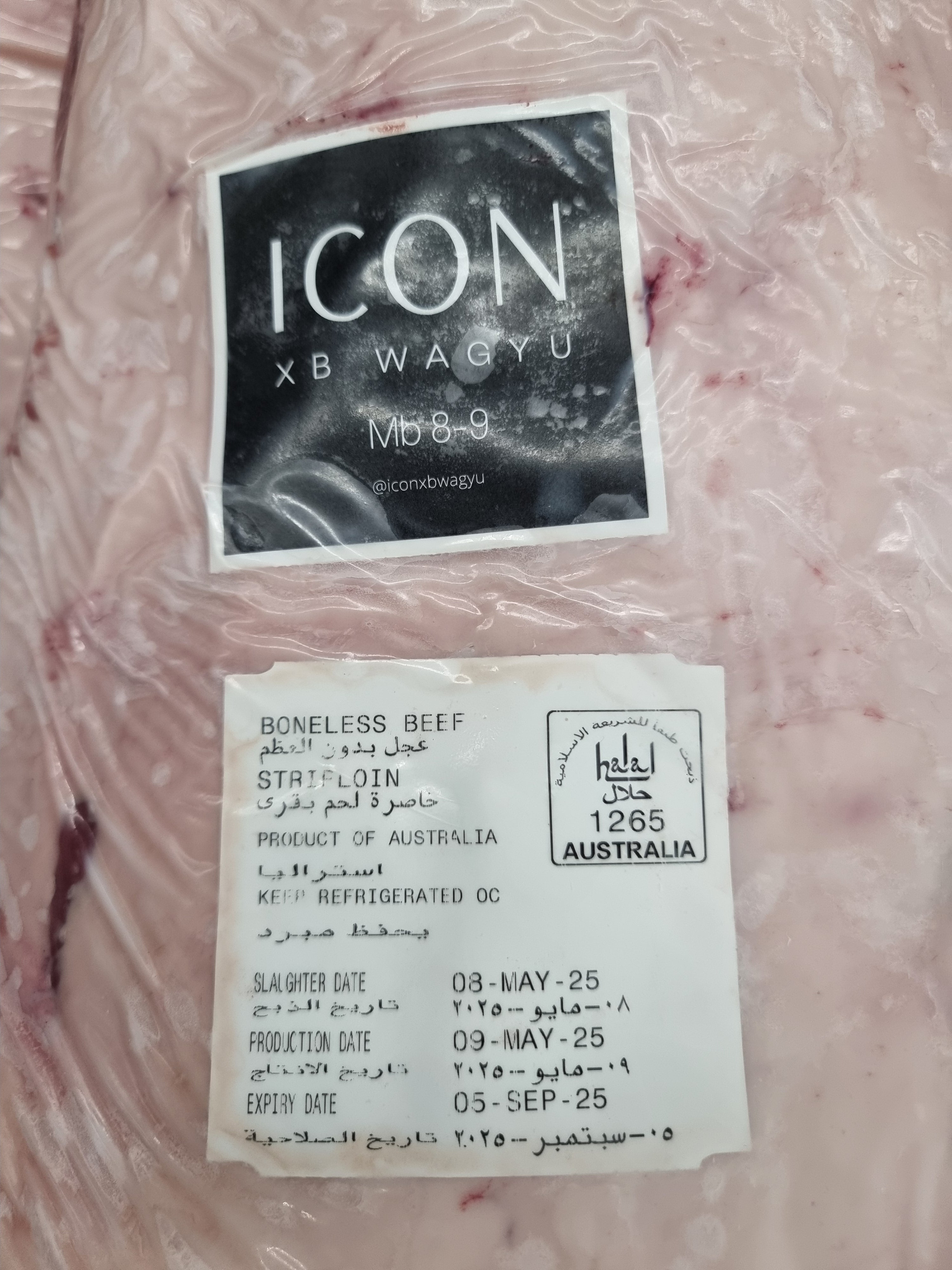 ICON XB Grain Fed F1 Wagyu MB-8-9 Porterhouse $99/kg