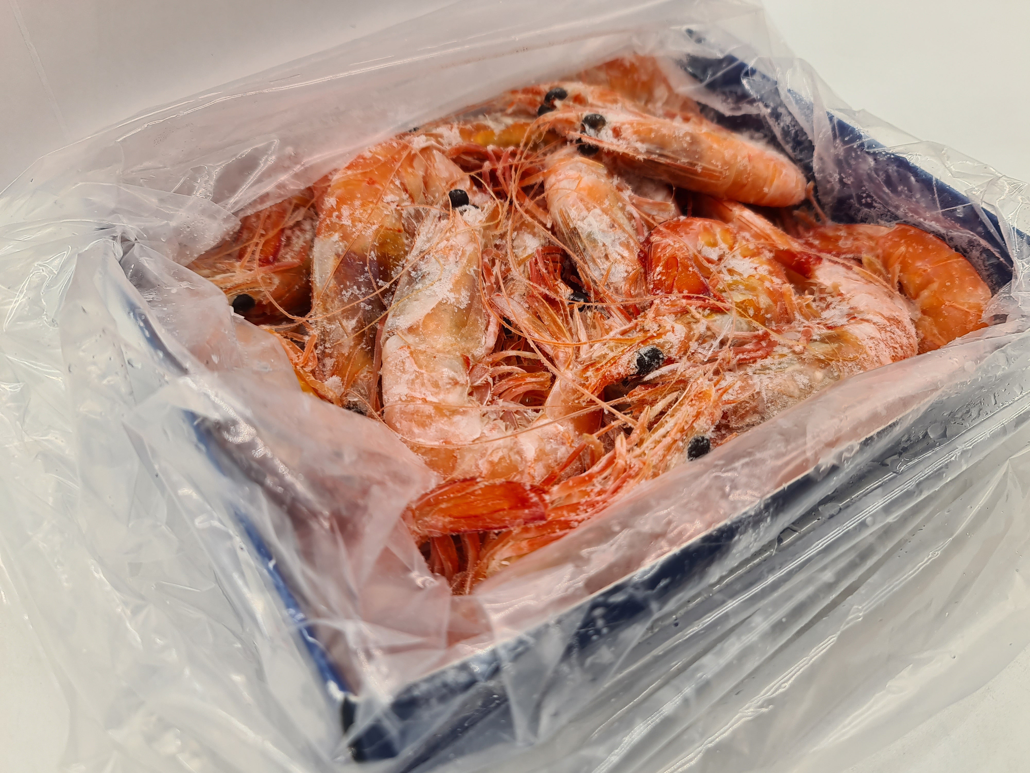 Wild Caught Spencer Gulf King Prawns (FROZEN - CAUGHT FRESH TO ORDER) $70/KG