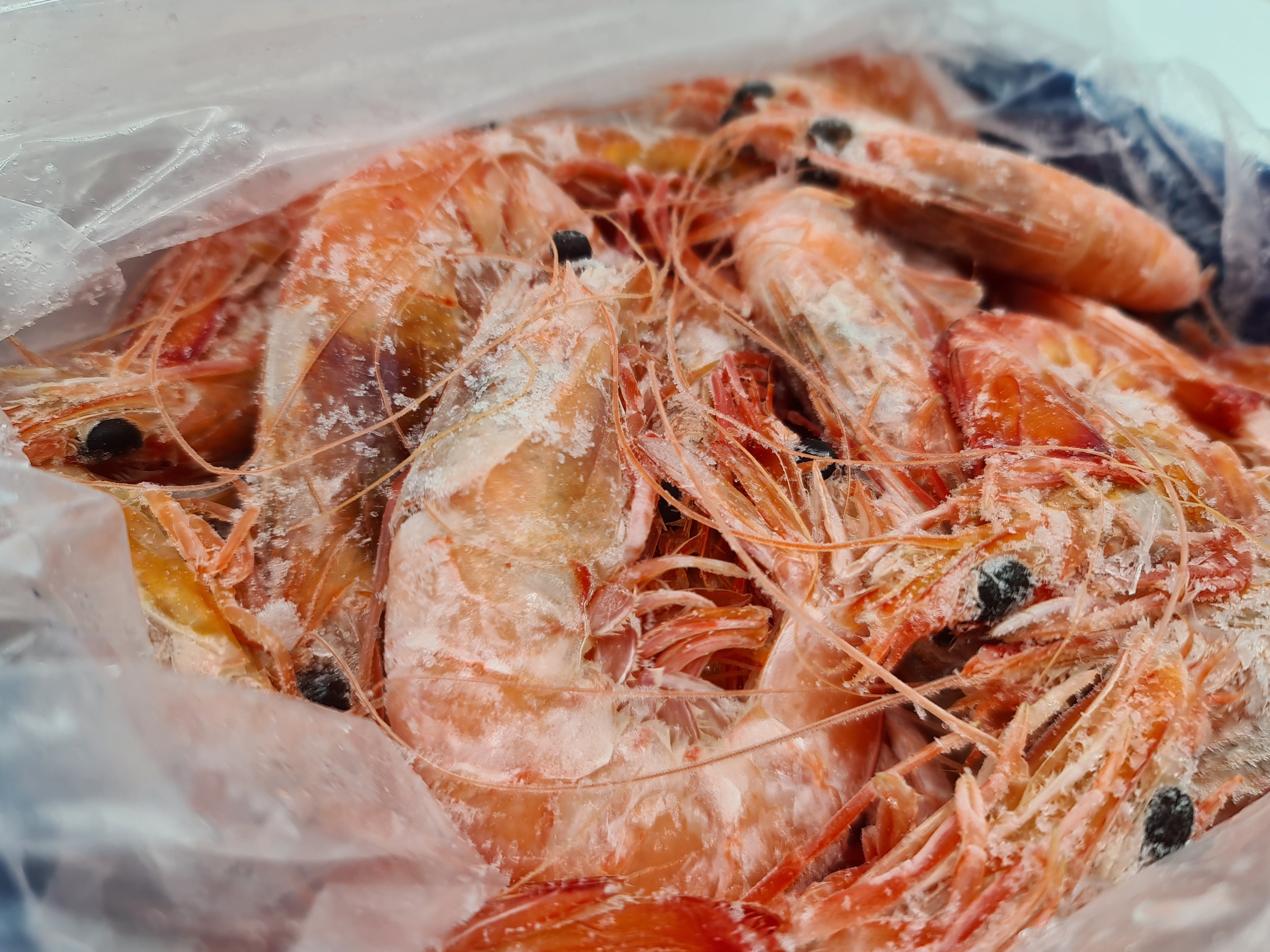 Wild Caught Spencer Gulf King Prawns (FROZEN - CAUGHT FRESH TO ORDER) $70/KG