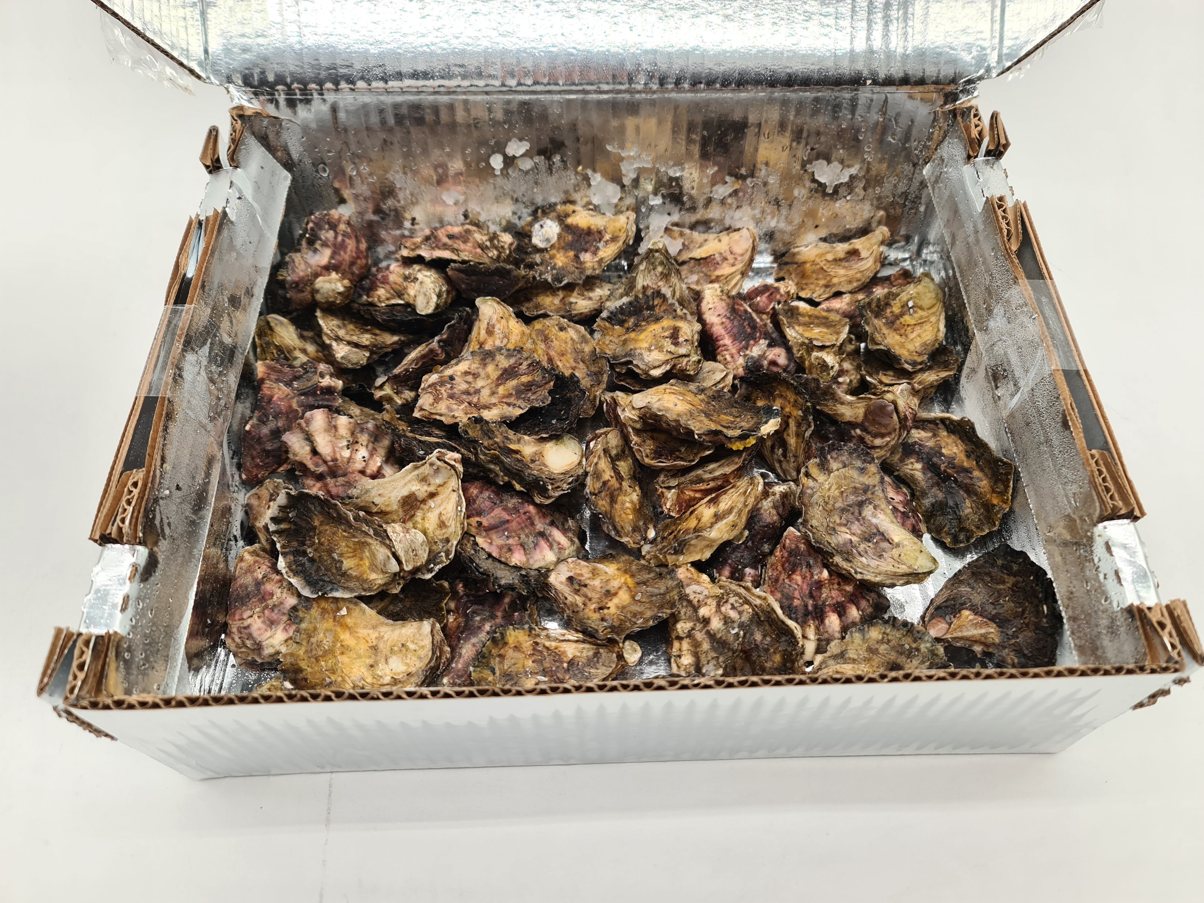 Southern Rock Oysters (12) (FROZEN) $29/kg *Caught Fresh to Order*