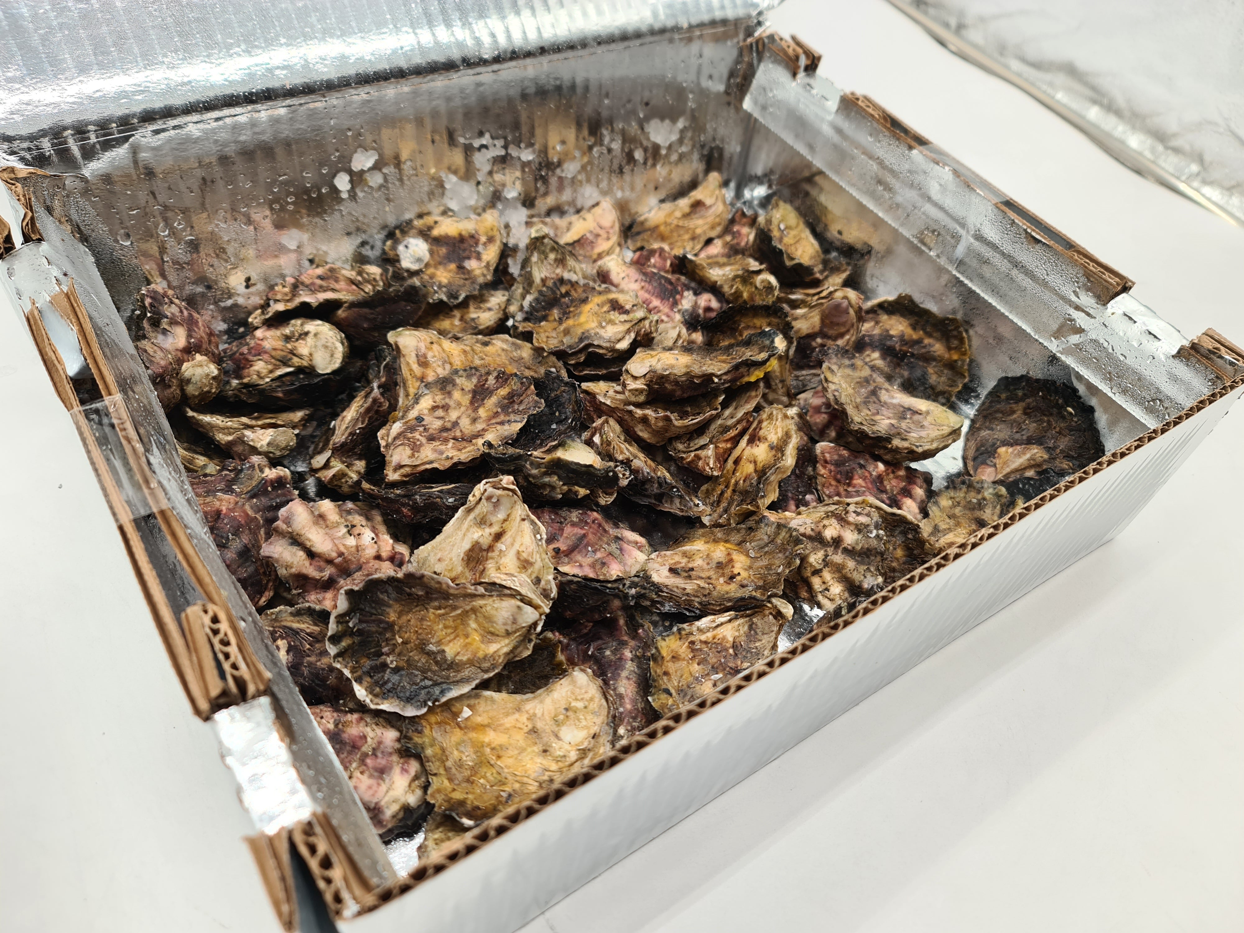 Southern Rock Oysters (12) (FROZEN) $29/kg *Caught Fresh to Order*
