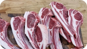 Beef Quality & Nutrition