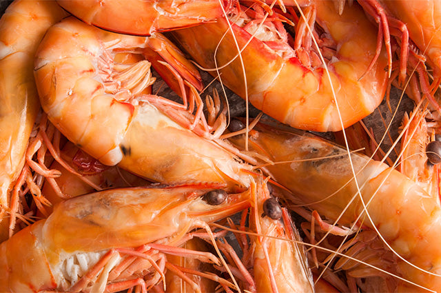 Wild Caught Spencer Gulf King Prawns (FROZEN - CAUGHT FRESH TO ORDER) $70/KG
