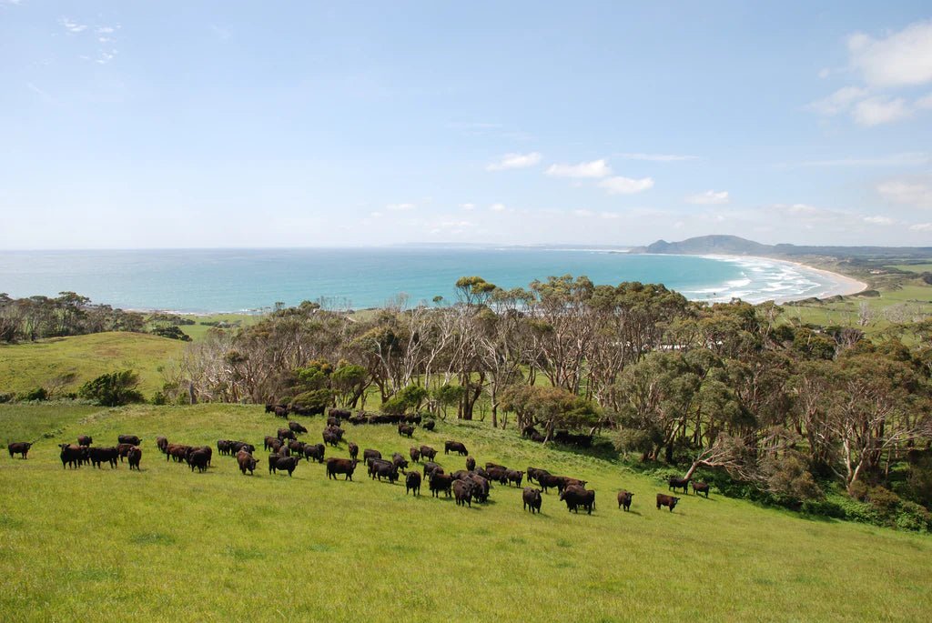 Bass Strait Striploin (Porterhouse) - $30/kg (Grass - Fed) - Carnivore Society