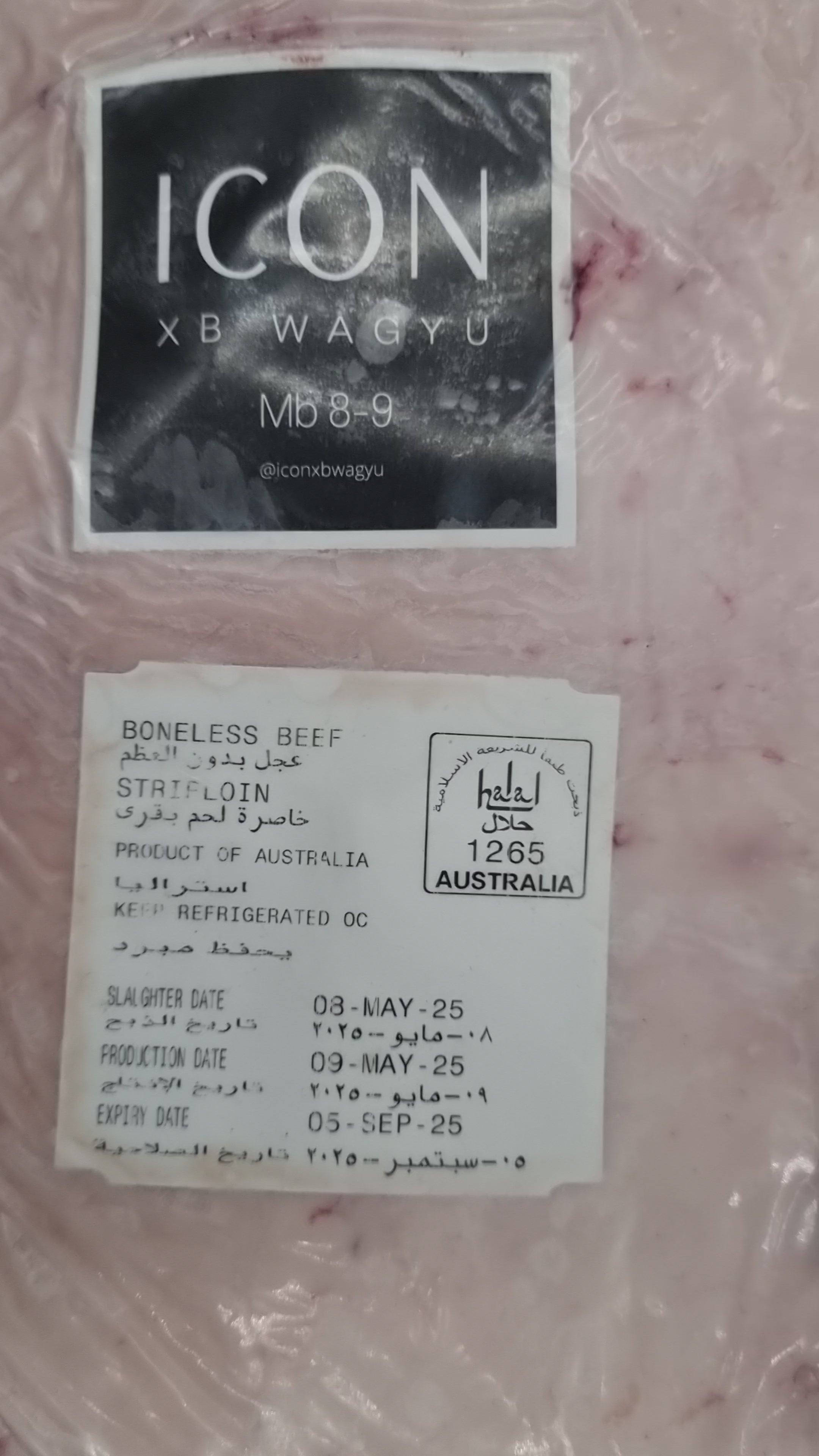 ICON XB Grain Fed F1 Wagyu MB-8-9 Porterhouse $99/kg