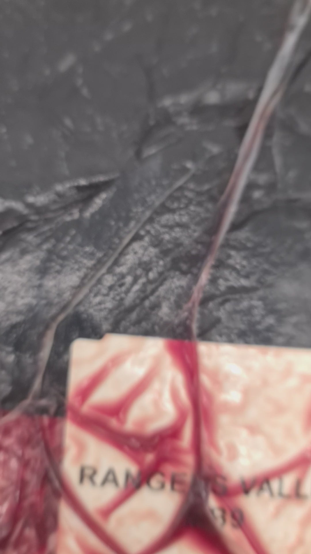 Rangers Valley Infinite Full Blood Wagyu Rump MB9+ $36/kg