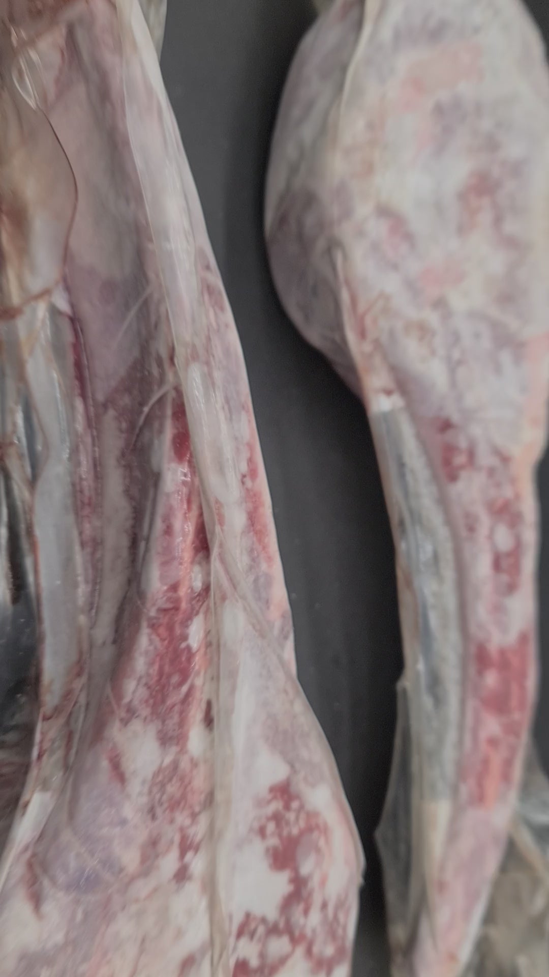FROZEN Tomahawk Rib From $49/kg – 100% Grass-Fed & Finished Beef - Cape Grim