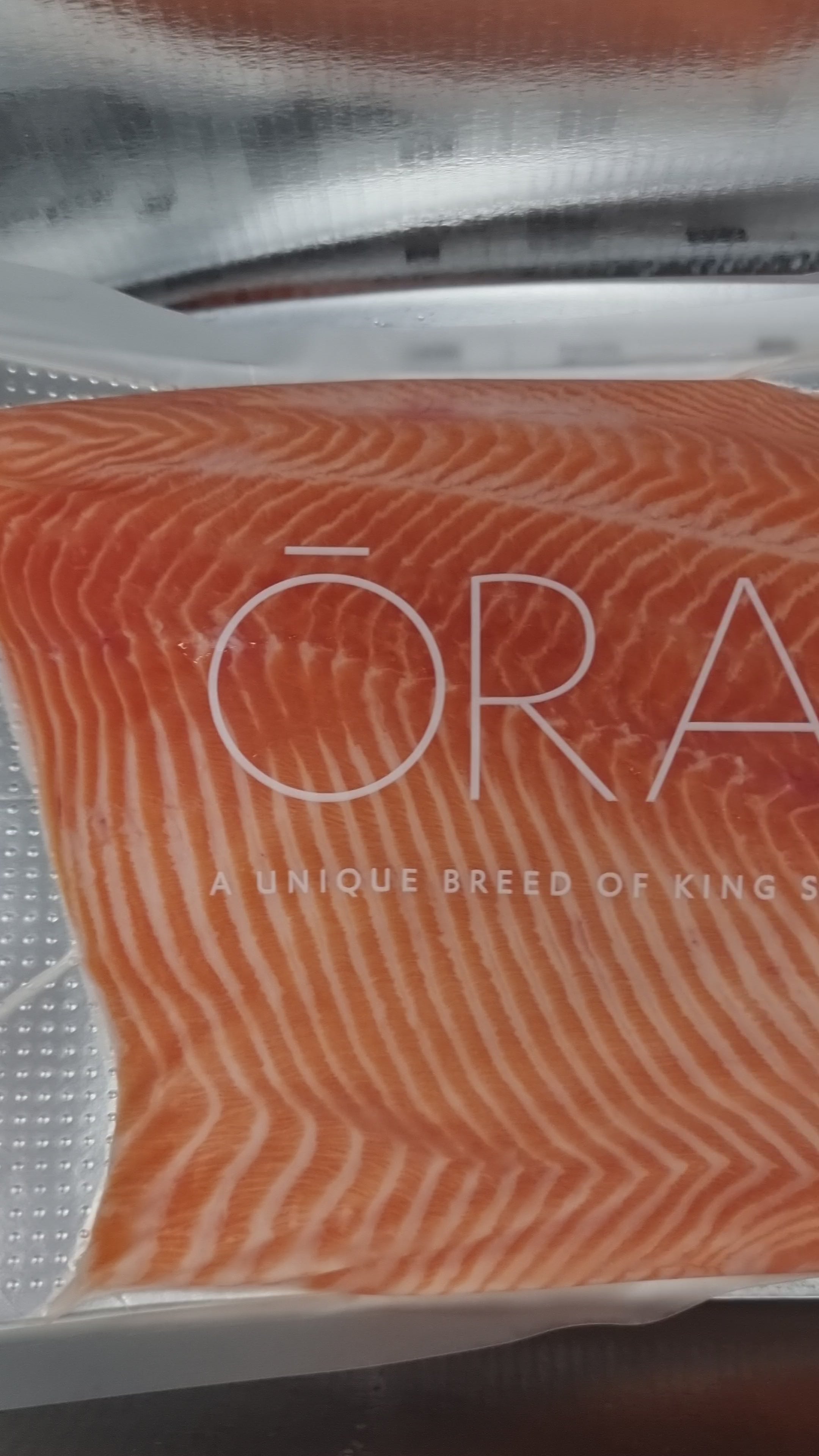 Ora King Ocean Caught Salmon (Fresh) – The Pinnacle of Premium Seafood $85/kg