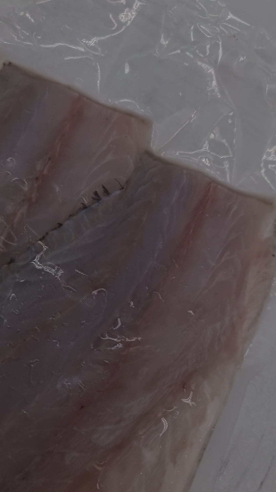 Infinity Blue Barramundi Fillets (FRESH) *caught fresh to order* $49/kg