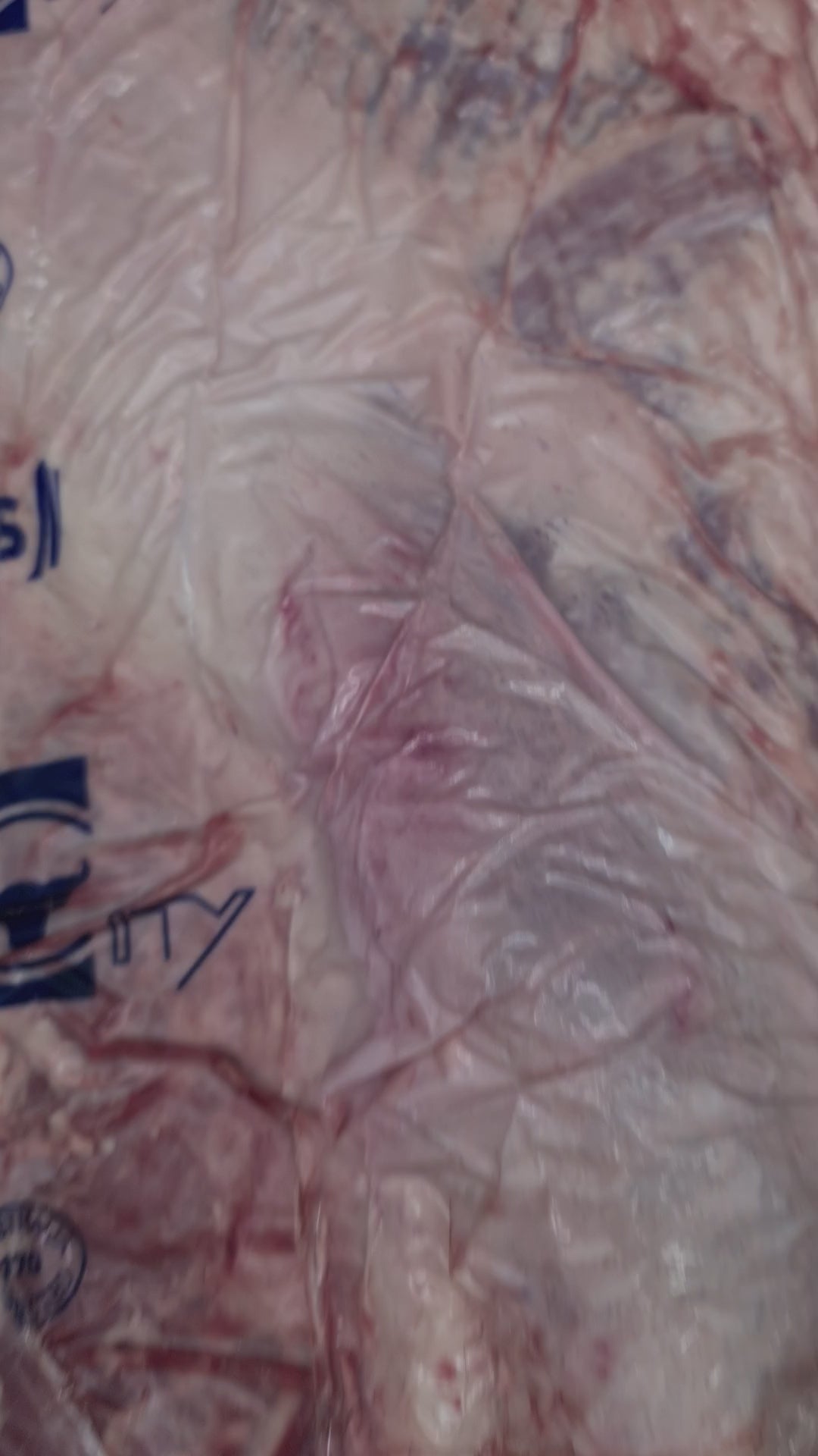 Brisket From $25/kg – Grain-Fed Beef MB2+ – Yardstick