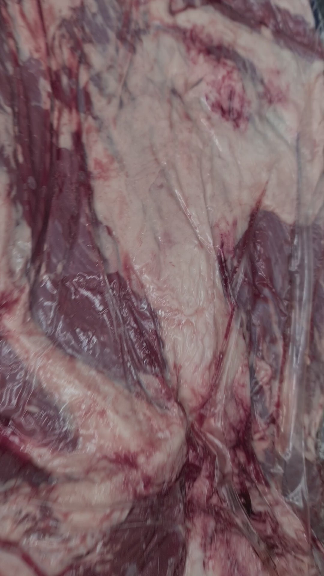 Brisket From $25/kg – Grain-Fed Beef MB2+ – Yardstick