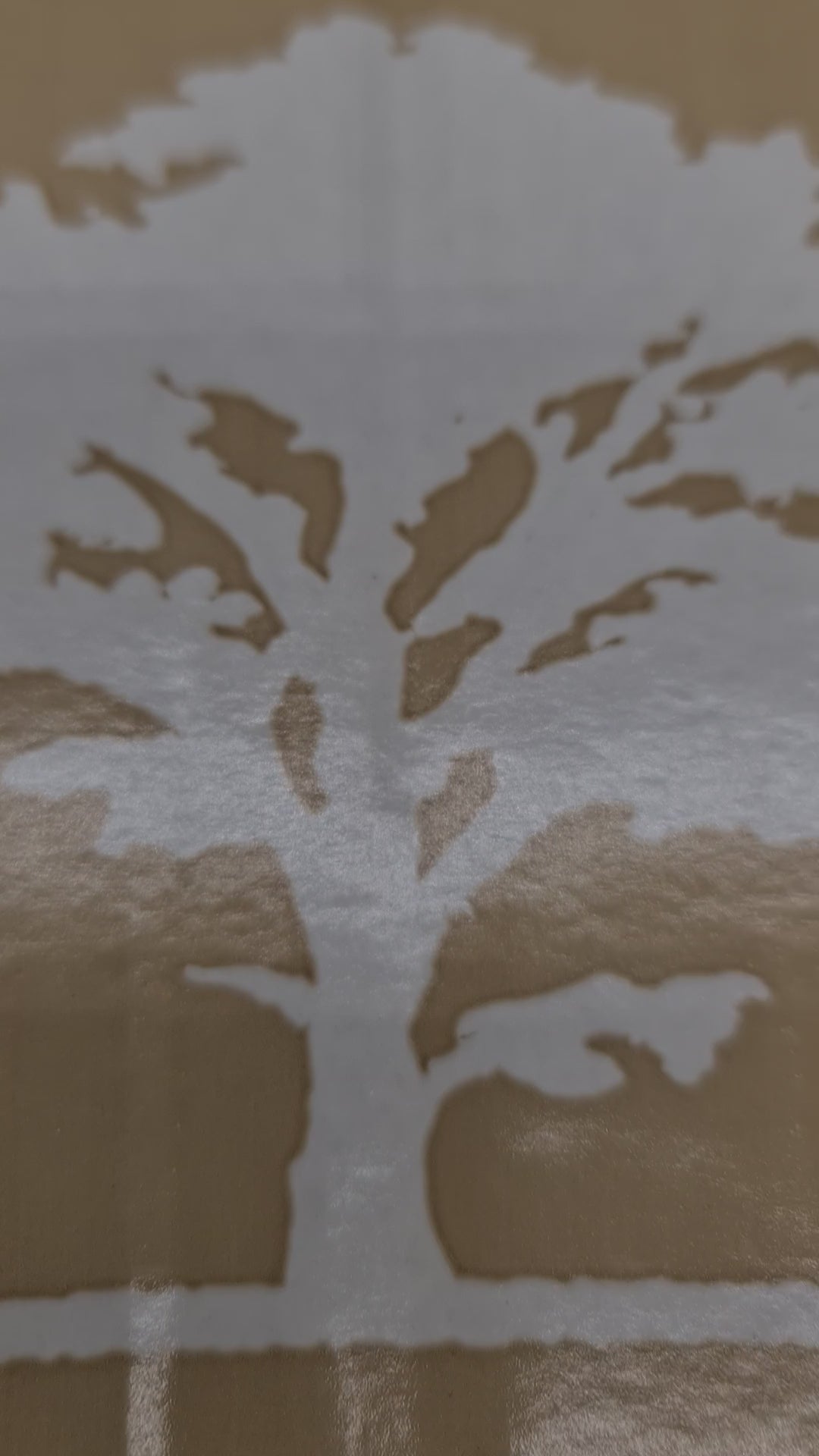 Red Gum Creek Striploin $41/kg