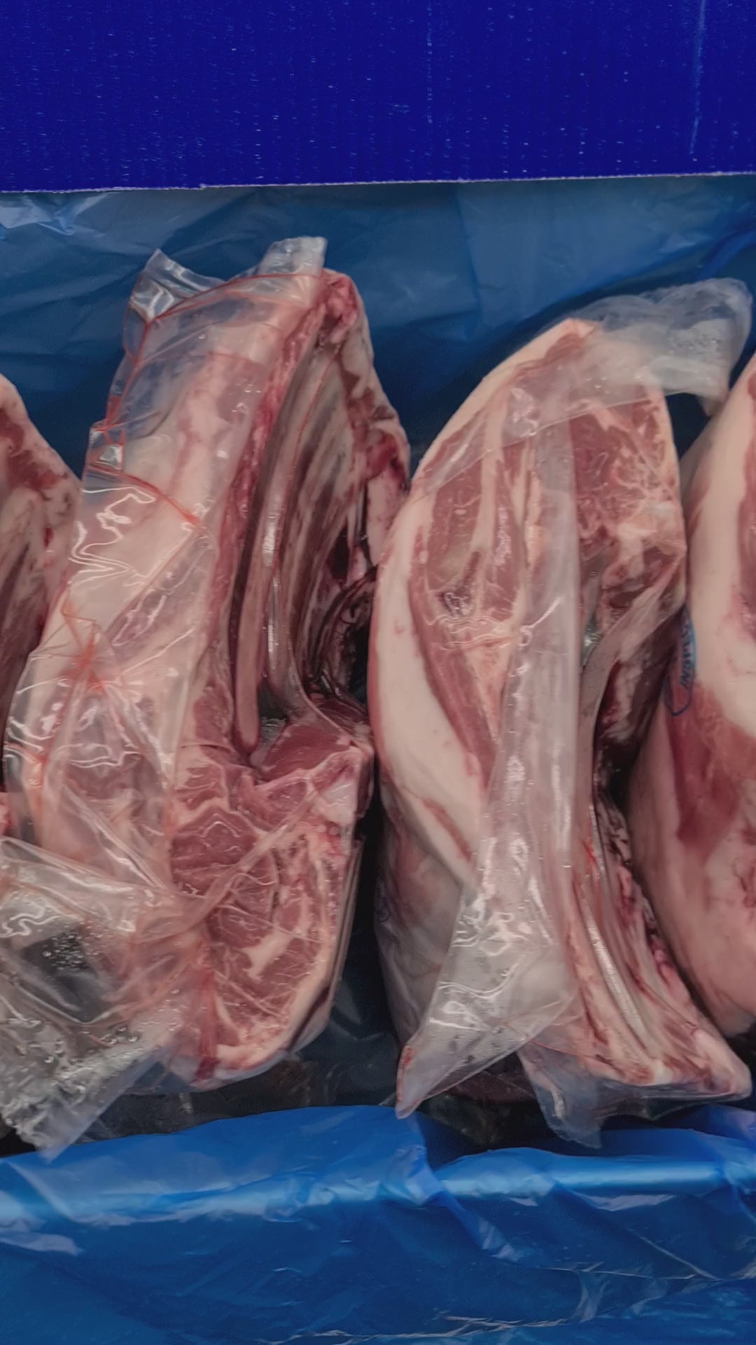 MC Herd Square Cut Shoulder (Bone in) $19/kg