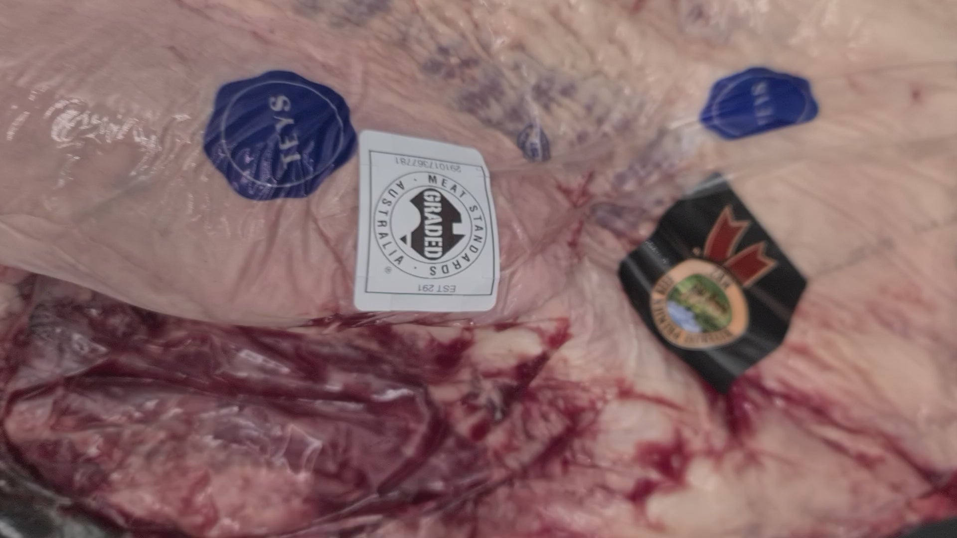 Brisket from *SPECIAL* $21/kg (Was $26/kg)- Grain-fed Premium Beef MB2+ - Teys Riverine