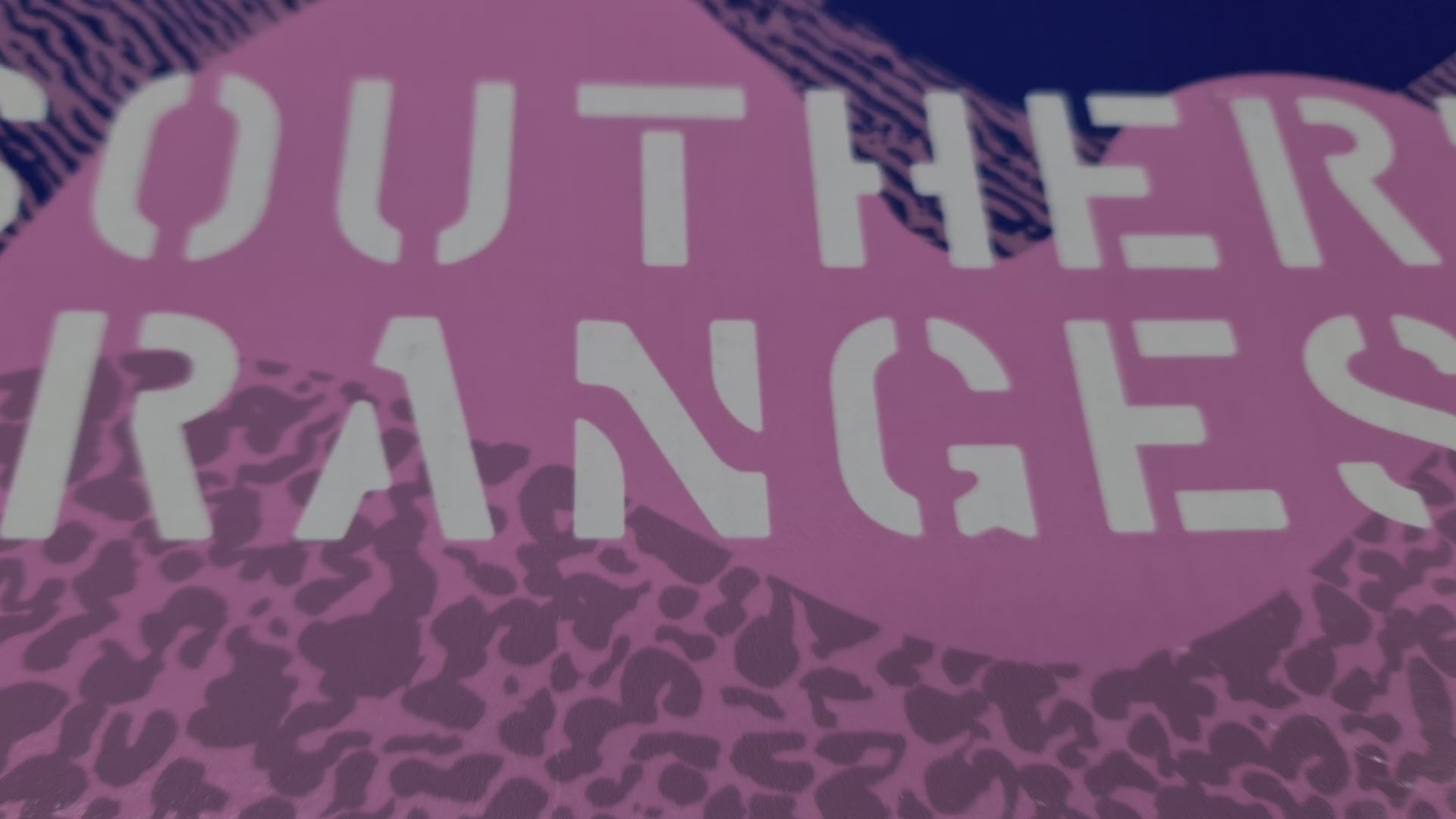 Porterhouse Striploin From $60/kg - Grass-Fed & Finished Angus MB4+