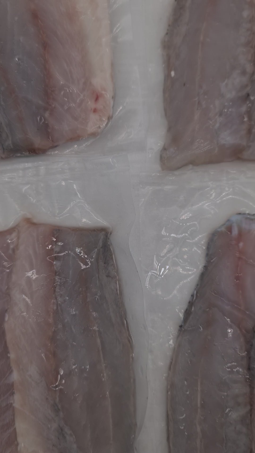 Infinity Blue Barramundi Fillets (FRESH) *caught fresh to order* $49/kg