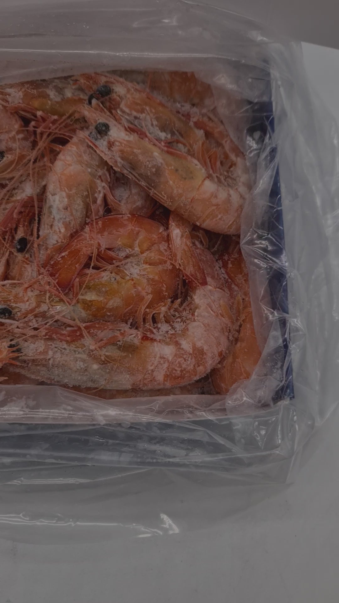 Wild Caught Spencer Gulf King Prawns (FROZEN - CAUGHT FRESH TO ORDER) $70/KG