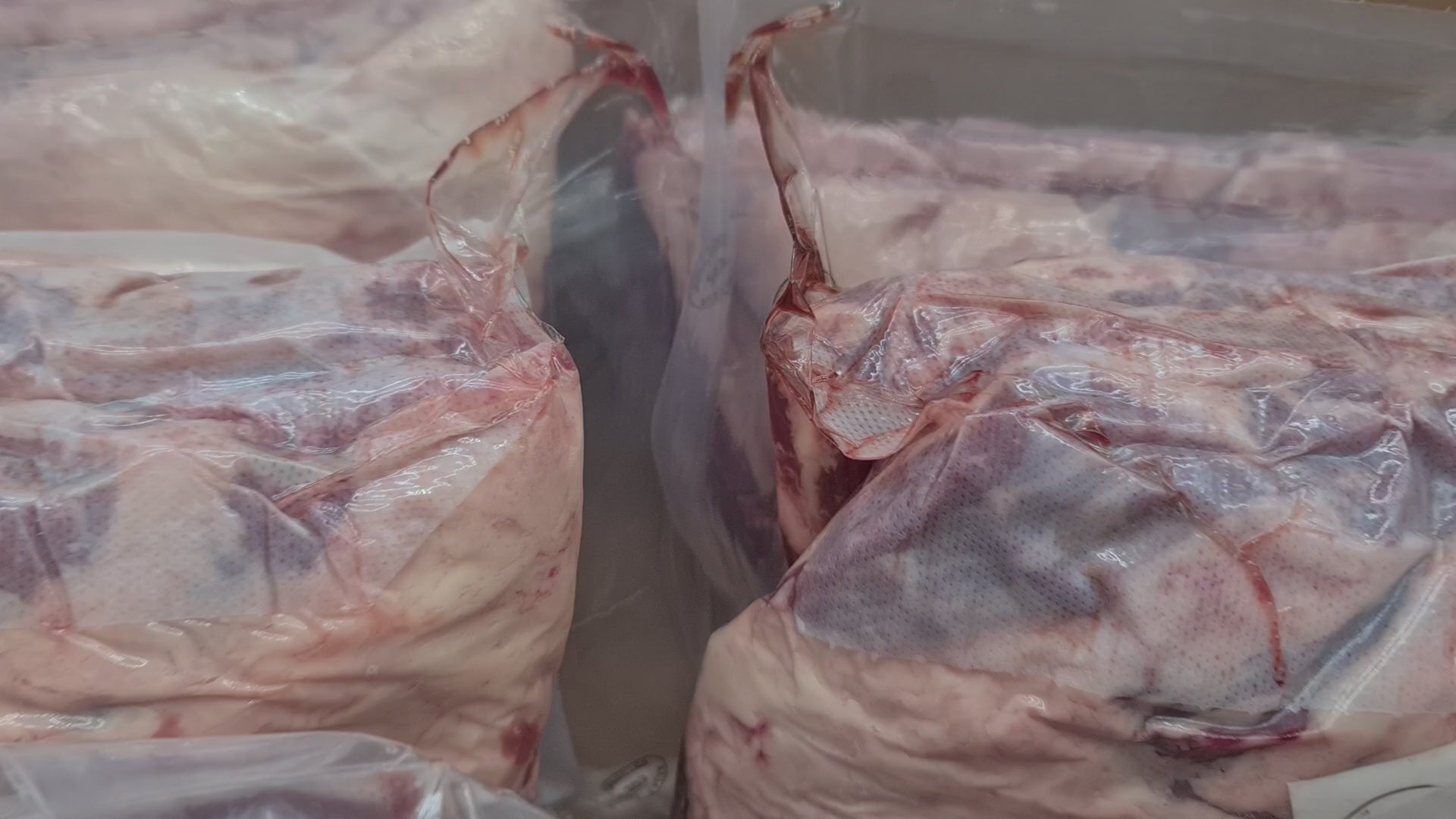 Short Ribs from $32/kg - 100% Grass-fed and finished Organic Beef - OBE Organic